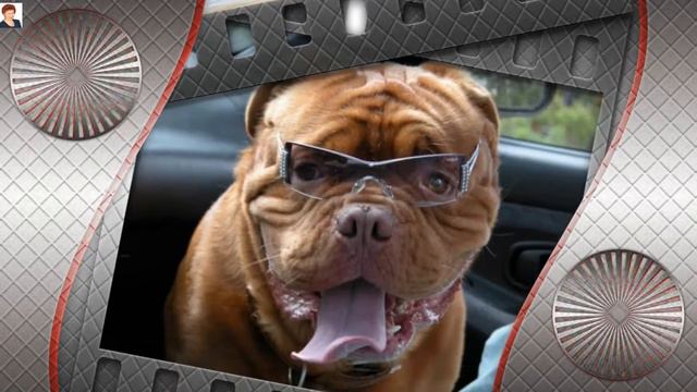 ОЧКИ ПО МОДЕ! VIP! ГЛАМУРНО! (GLASSES) смотреть онлайн