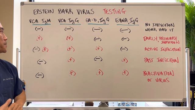 EPSTEIN BARR VIRUS----Testing🧪🧪 смотреть онлайн