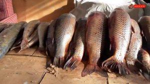 Казахстан! Осталась без Денег! Базар! Как жить без денег в чужой стране !!.mp4