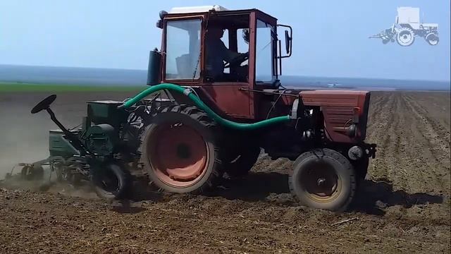 Модернизированная сеялка точного высева СУПН-4 на Т-25!/Upgraded Mini Tractor Precision Planter!