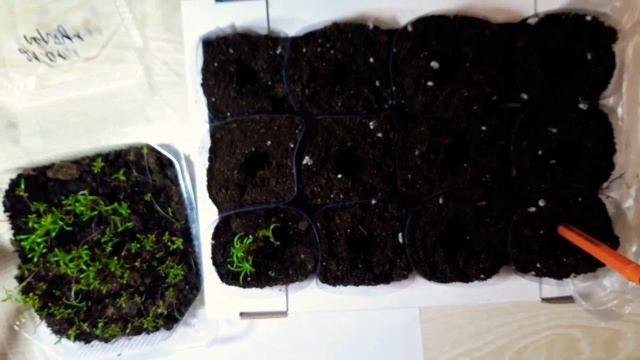 Приключения на Природе