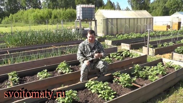 Как не наделать ошибок в природном земледелии смотреть онлайн