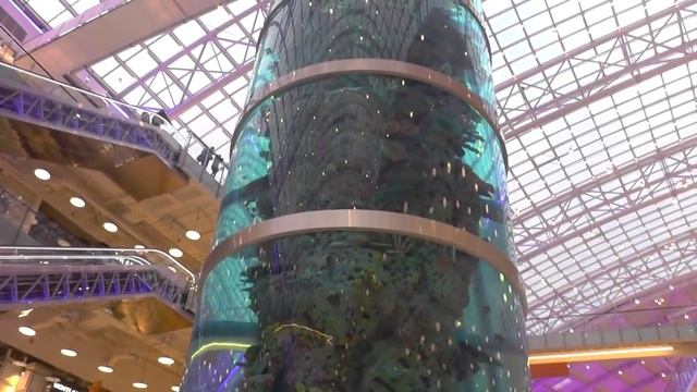 Самый большой морской аквариум в Москве ТРЦ Авиа парк смотреть онлайн