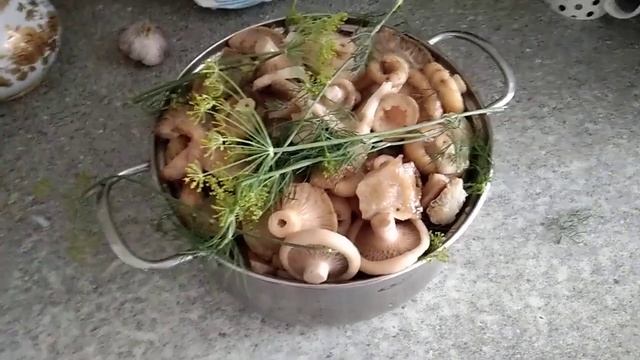 Вкусная еда для всех 