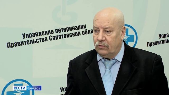 В частном приюте Саратова нашли десятки мертвых животных: в деле разбираются правоохранители смотреть онлайн