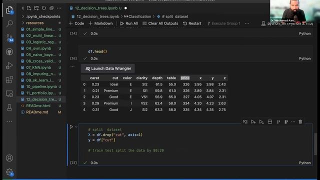 Decision Tree in Python and scikit-learn смотреть онлайн