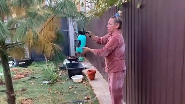 Пытаюсь спасти сосну, опрыскиваю и удобряю. смотреть онлайн