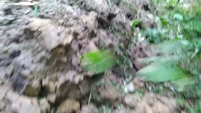 Пруд для полива огорода своими руками смотреть онлайн