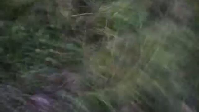 Перевернулись на Урале смотреть онлайн