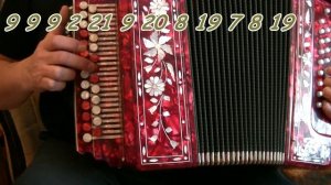 Калины куст -  видеоразбор (с цифрами) на гармони.