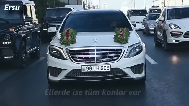 гио пика • çorni delfin (Türkçe Çeviri) (AMG & AUDI Showtime) смотреть онлайн
