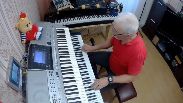 Blue Canary.Грустная канарейка. Кавер. Ketron sd1 смотреть онлайн