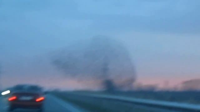 По дороге в Тимашевск. КРАСОТА смотреть онлайн
