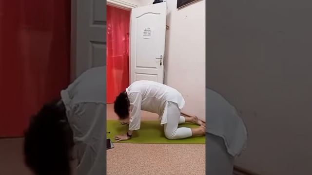 Аэробная способность и эффективная работа лёгких. смотреть онлайн