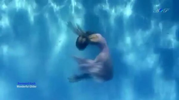 BERNWARD KOCH - Wonderful Glider