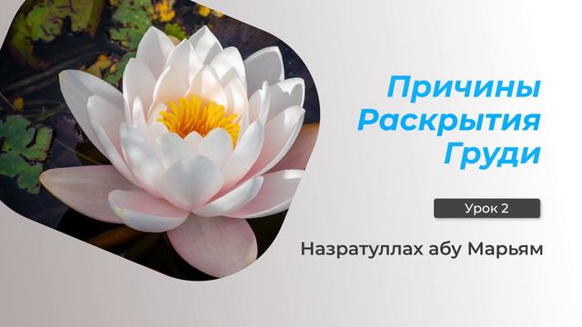 Причины раскрытия груди 2. Назратуллах абу Марьям смотреть онлайн