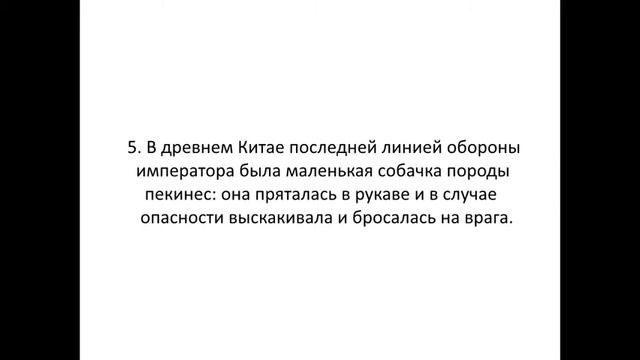 10 фактов о собаках #2