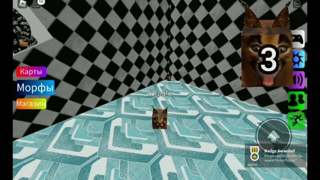 КАК НАЙТИ 5 НОВЫХ ФЛОПП В КАРТЕ ЛАБИРИНТ | FIND THE FLOPPA MORPHS | ROBLOX смотреть онлайн