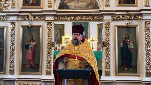 ИДИ И ПОКАЖИСЬ СВЯЩЕННИКУ. Проповедь о. Николая после Литургии 18 декабря 2022 г. смотреть онлайн