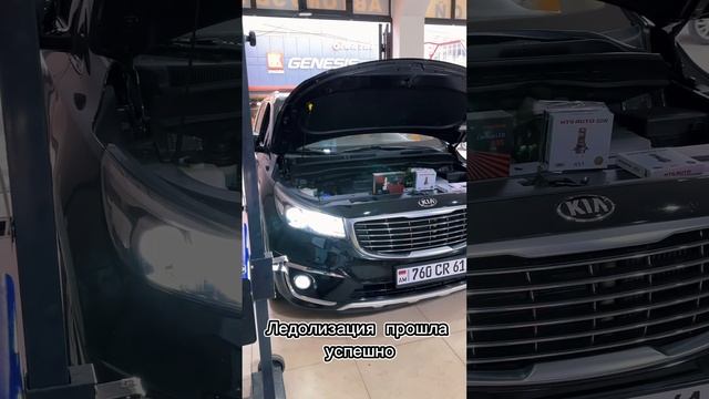 Замена ламп Kia Karnival #auto #авто #автосервис #махачкала #автосвет #toyota #bmw #led #dubai смотреть онлайн