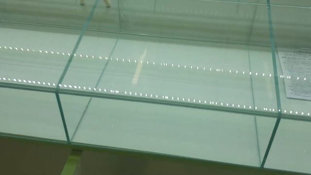 Витрины под сухофрукты, орехи , специи смотреть онлайн
