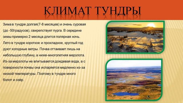 Природная зона тундра смотреть онлайн