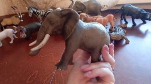 ИЗУЧАЕМ ЖИВОТНЫХ АФРИКИ| Найди самое необычное животное! #учимживотных #развивающиезанятия #фигурки