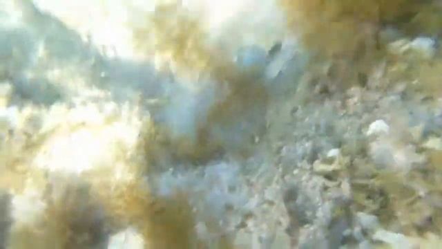 Водонепроницаемый чехол для фотоаппарата из китая смотреть онлайн