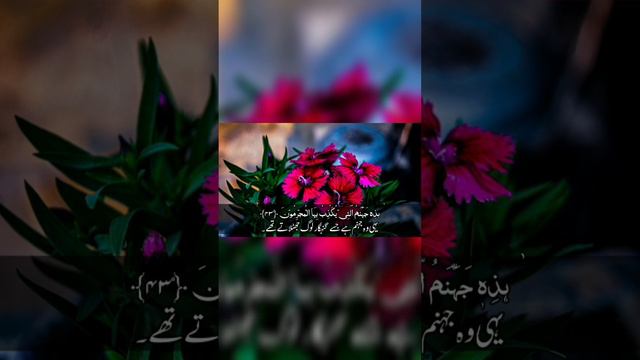 Surah Rahman With Urdu Translation | سورة الرحمن | Quran with Urdu Translation part 8 #kalimaehaq смотреть онлайн