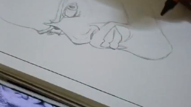 Virat Kohli drawing ??/tutorial #viratkohli /ANDHALE BRAND 4.0 смотреть онлайн