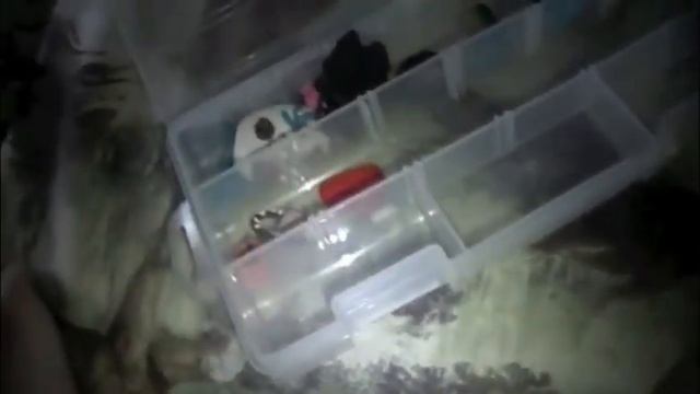 Full Update! :D смотреть онлайн