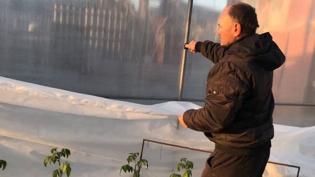 Как уберечь рассаду от весенних заморозков? смотреть онлайн