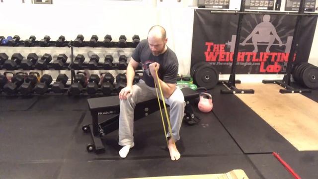 Mini Band Biceps Curls @theweightliftinglab