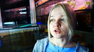 Оптимальный размер террариума для древолазов