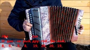 Два весёлых гуся