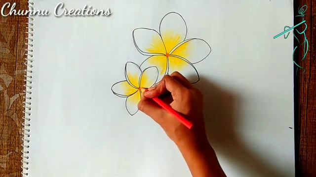 how to draw 3d Frangipani flower..||Plumeria flower..|| 3d frangipani flower... смотреть онлайн
