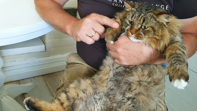 Животные и Их Секреты