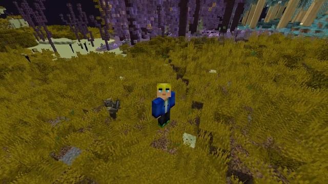 МОД НА БИОМЫ В КРАЮ В МАЙНКРАФТ | МОД НА КРАЙ | ОБЗОР МОДА MINECRAFT Stellarity смотреть онлайн