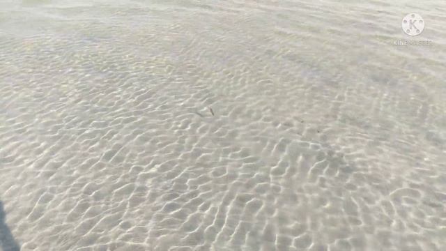 ⛱️ Озеро Большой Шантрапай Белоусово // ОЗЁРА ЧЕЛЯБИНСКОЙ ОБЛАСТИ смотреть онлайн