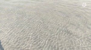 ⛱️ Озеро Большой Шантрапай Белоусово // ОЗЁРА ЧЕЛЯБИНСКОЙ ОБЛАСТИ