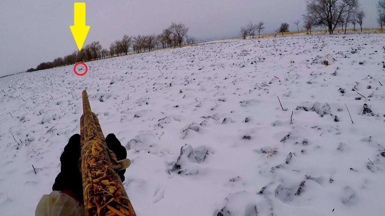 ЛУЧШЕЕ ОТКРЫТИЕ ОХОТЫ НА ЗАЙЦА!!! ПЕРВЫЙ СНЕГ!!! РОЗЫГРЫШ ЧОКА GEMINI !!!!!! смотреть онлайн