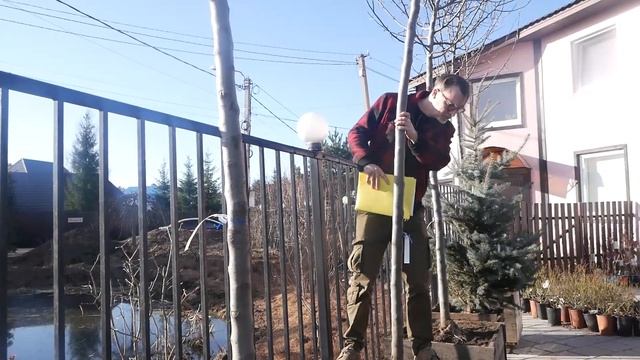 Садовый центр "Евро-плант" сегодня открывает сезон 2021 и начинает работу! смотреть онлайн