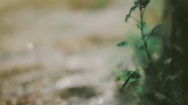 Canon M10: test lens CCTV Fujian Lens 50mm F/1.4 (test video) смотреть онлайн