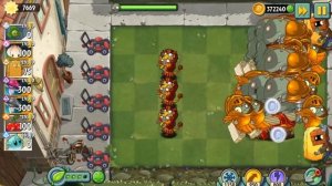 Росянка, подвинься! Обзор на неубиваемую Ночную Шляпку (Night Cap) от PvZ Дичи