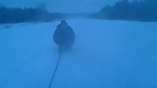 2016, трюки, экстрим, приколы. клипы!