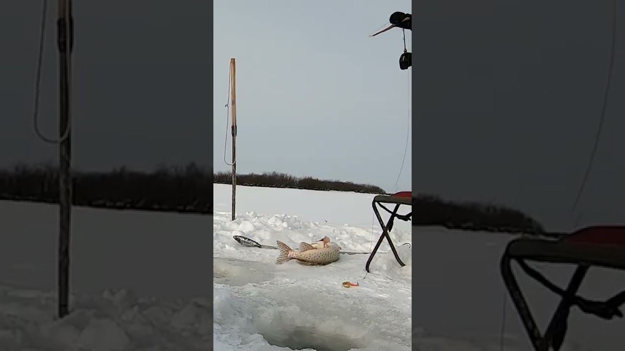 зимняя рыбалка 2022 смотреть онлайн