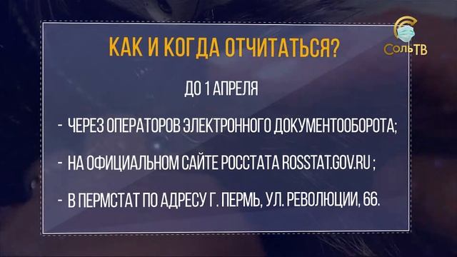 Малый бизнес, отмечаемся, заявляем о себе!_16.03.2021_СольТВ