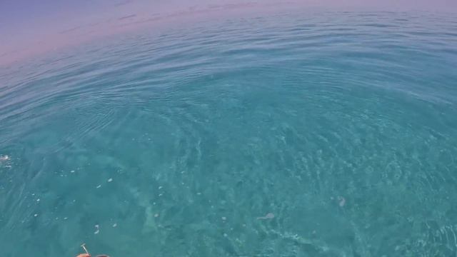REEF ADDICTS Knock Off Work And Go Hunt For Dinner! 🔨 🤿 🐟 (JETSKI SPEARFISHING)