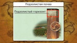 Основные типы почв России. Видеоурок по географии 8 класс