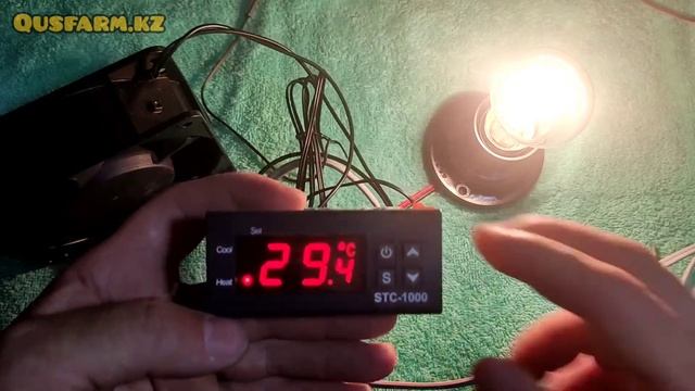 Терморегулятор stc 1000 подключения и настройки для Инкубатора брудер Термостат смотреть онлайн